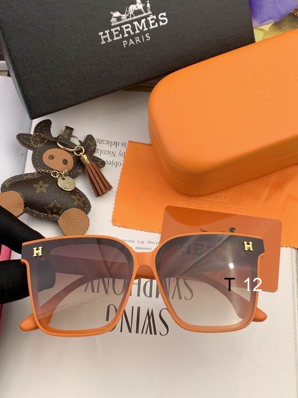 Hermes Sunglasses 7